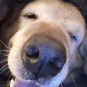 Meet your Posher, Jayden